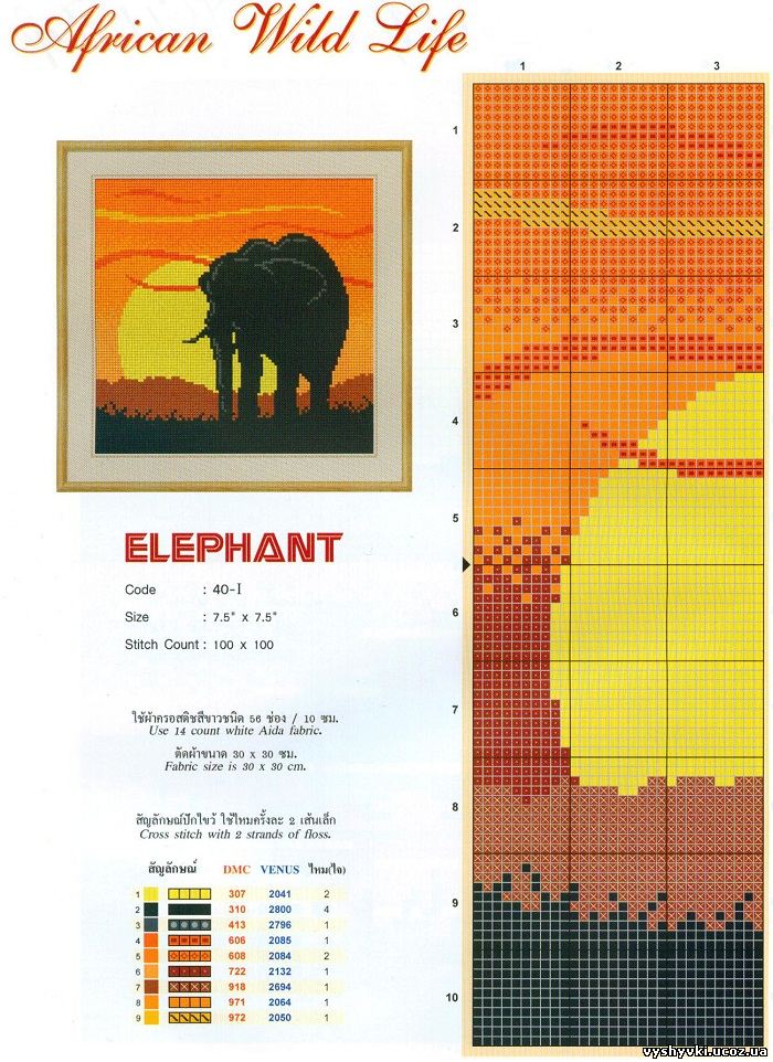Закат со слоном
